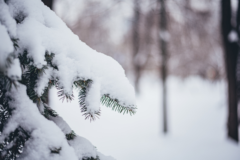 El clima cambiará drásticamente en Ucrania: la primera nevada en las montañas –, y el resto del territorio: fuerte viento