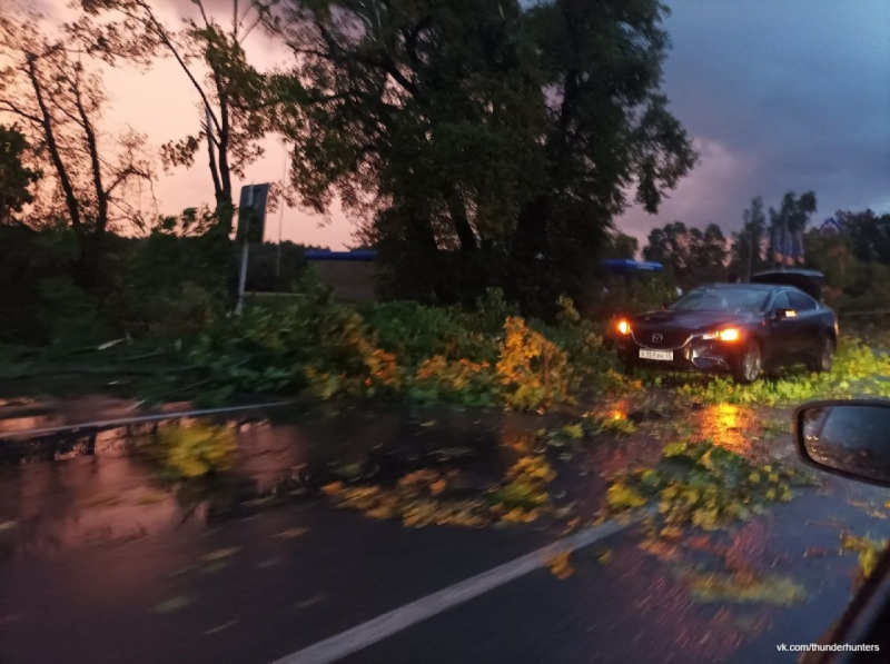 Tejados arrancados, árboles rotos y víctimas: un clima terrible golpeó la región de Kursk