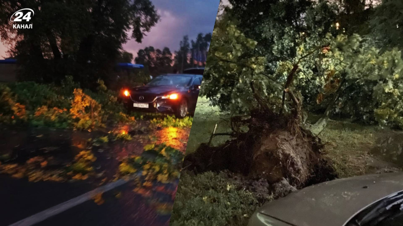 Tejados arrancados, árboles rotos y víctimas: un clima terrible golpeó la región de Kursk