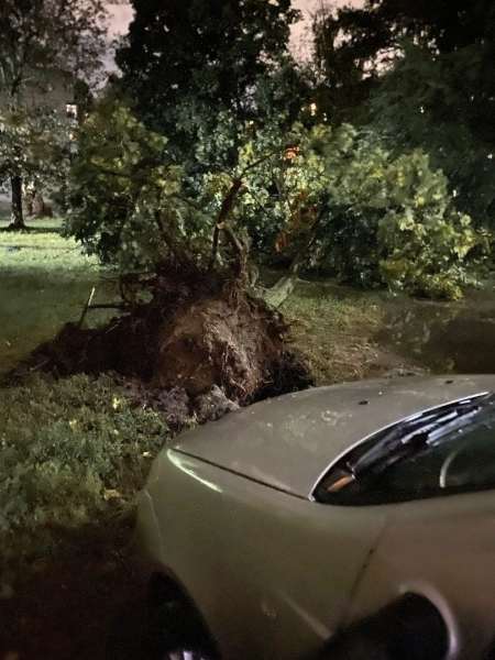 Techos arrancados, árboles rotos y víctimas: una terrible tormenta golpeó la región de Kursk