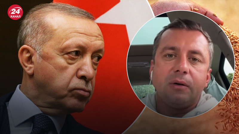 Erdogan juega un doble juego: politólogo sobre las últimas declaraciones del jefe de Estado turco grano