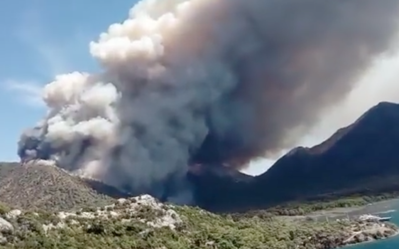 Activado se produjo un incendio forestal a gran escala en la localidad turca de Marmaris (vídeo)