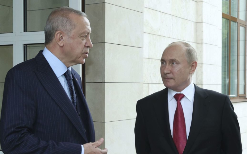 Erdogan dijo que estuvo de acuerdo con Putin en la creación de un 'gas hub'