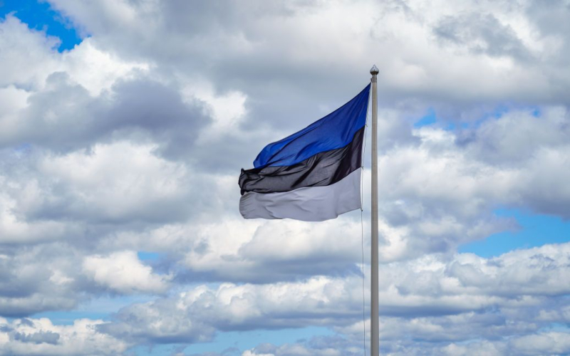 Estonia va a prohibir que los rusos y los bielorrusos tengan armas