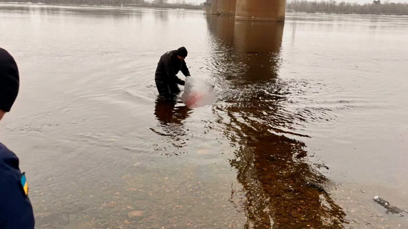 Una mujer ahogada fue encontrada en el río Dniéper en Kyiv