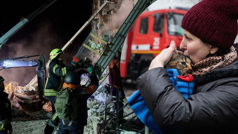 Mascotas recuperadas de edificio alto destruido en Dnipro