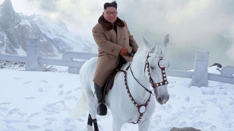 Corea del Norte está construyendo una red de establos militares: gastaron 600 mil dólares en caballos de Rusia 