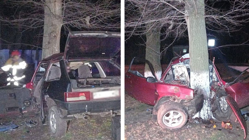 Auto choca contra un árbol: un hombre y sus pequeñas hijas mueren en un terrible accidente en el Región de Odessa