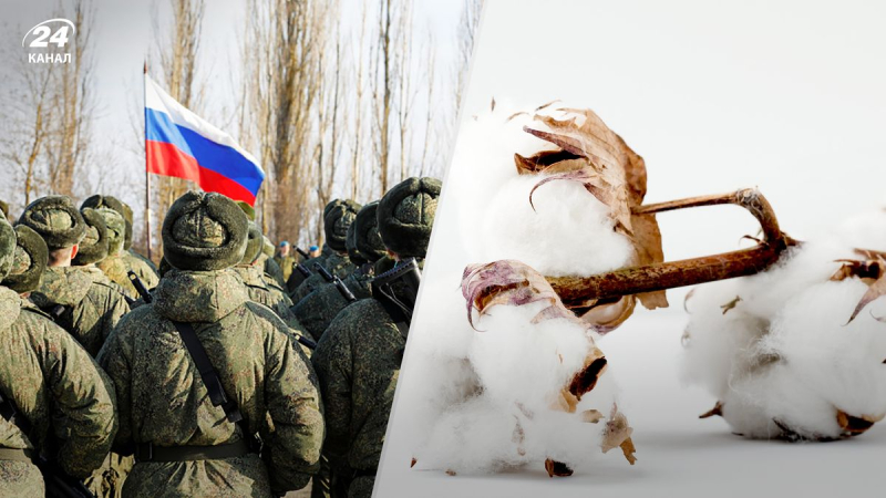 "Cotton" se llevó: muerte de soldados reclutados anunciada en la región de Belgorod