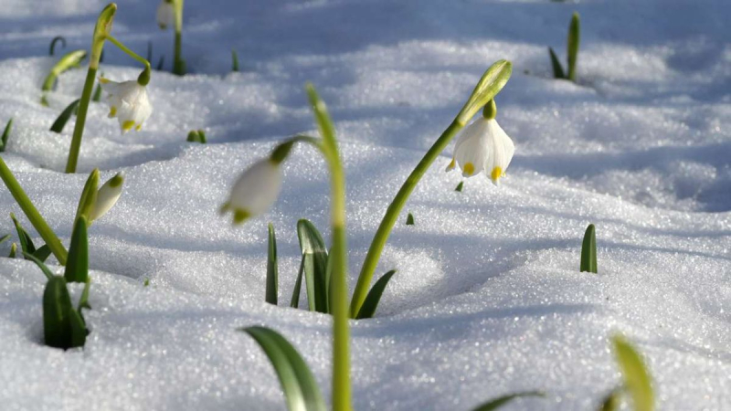 La noche más fría y el día más soleado: pronóstico del tiempo en Ucrania para el 23 de febrero