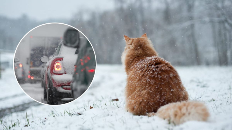 La nieve y el hielo cubrirán: pronóstico del tiempo en Ucrania para el 6 de febrero