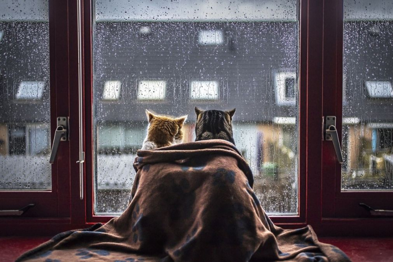 Escarcha en el este y lluvia en el oeste: pronóstico del tiempo para Ucrania el 22 de febrero