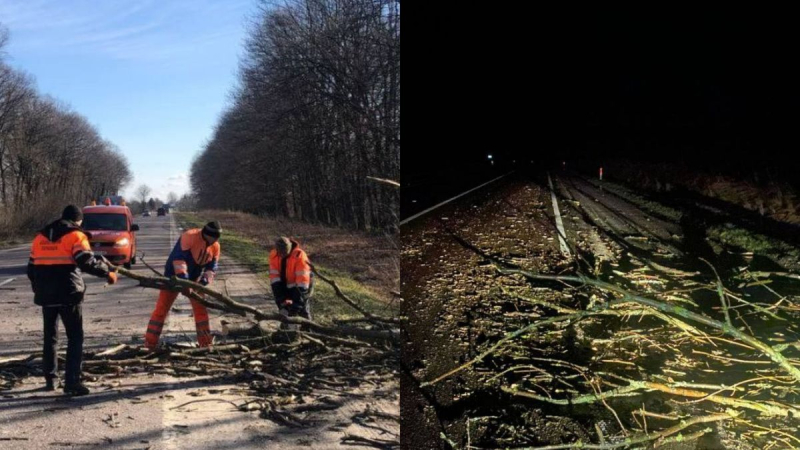 Estalló mal tiempo en la región de Lviv: los árboles están cayendo en la región