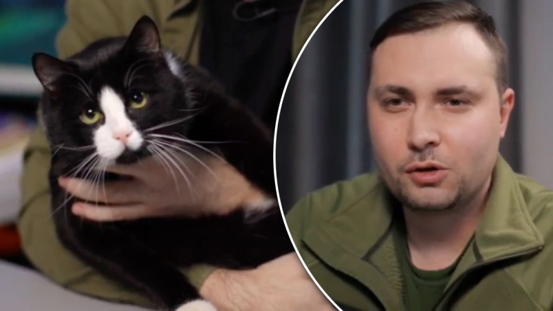El principal gato explorador del país, Budanov mostró uno de cuatro patas que vive en el GUR