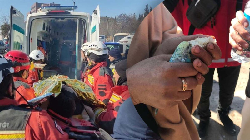 No soltó a su amigo de sus brazos: sacaron a un niño de debajo los escombros, que sostuvo a su loro durante 55 horas 