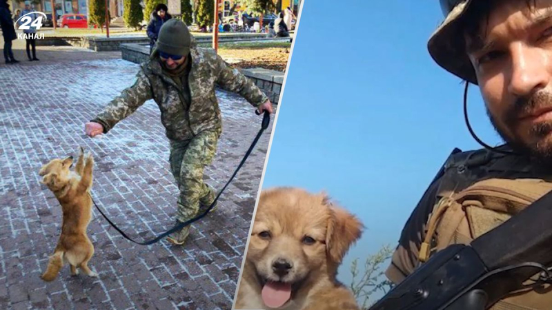 Traer un cachorro de Bakhmut: en Cherkasy, a un militar no se le permitió subir al minibús
