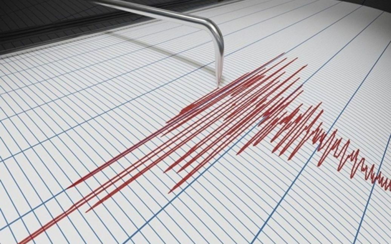 Un poderoso terremoto sacudió Japón