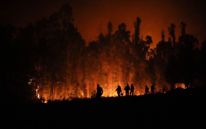 Incendios forestales en Chile: el número de muertos asciende a 22