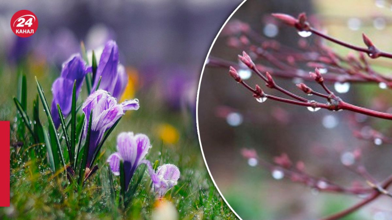 Oeste y norte se preparan para la lluvia: pronóstico del tiempo para el 25 de marzo