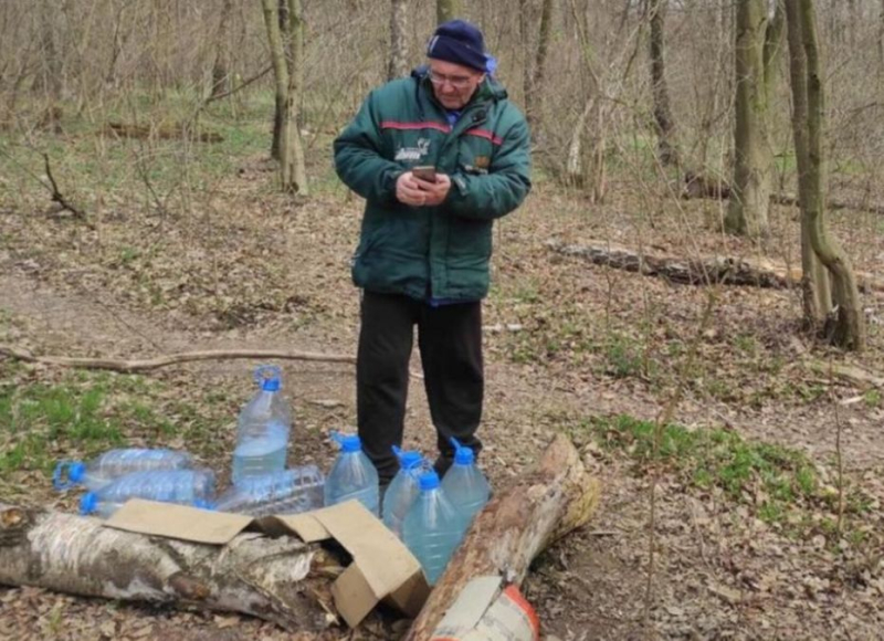 Ecodrama en Ternopil: candidato a alcalde atrapado destruyendo árboles