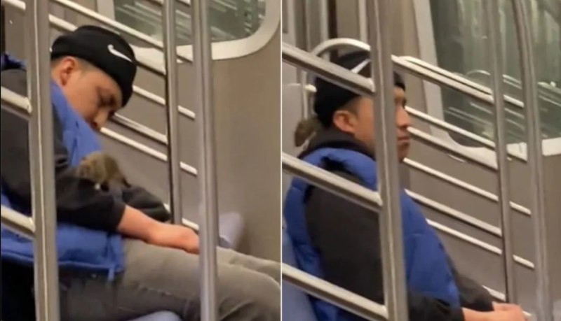 Rata gigante se sube al cuello de un hombre en el metro: su video de reacción se vuelve viral