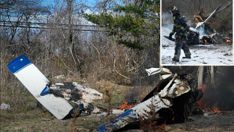 Un avión se estrelló cerca de Nueva York: hay un muerto: imágenes espeluznantes del lugar del accidente 