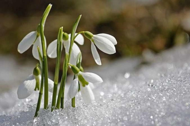 El calor vuelve poco a poco: pronóstico del tiempo en Ucrania para el 2 de marzo