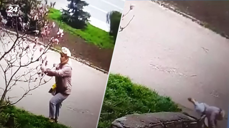 "Karma instantáneo": una mujer rompió una rama de magnolia en Chernivtsi, pero la vida la castigó de inmediato 