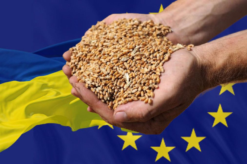 100 millones de euros en ayuda a los agricultores: la Comisión Europea planea prohibir las importaciones de cereales de Ucrania
