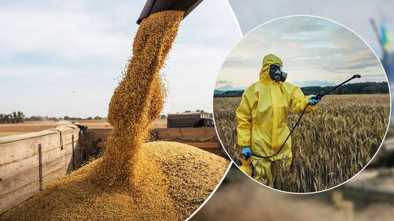 Eslovaquia prohibió la venta y procesamiento de grano ucraniano: qué pasó