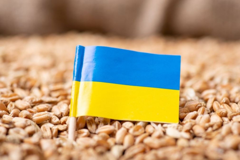 Ucrania detiene repentinamente las exportaciones de cereales a Polonia: cuál es el motivo