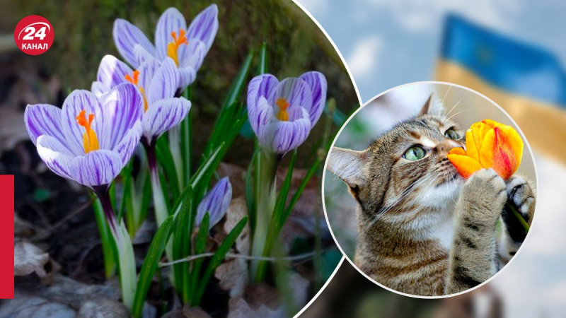 Este y sur se preparan para la lluvia: pronóstico del tiempo en Ucrania para el 29 de abril