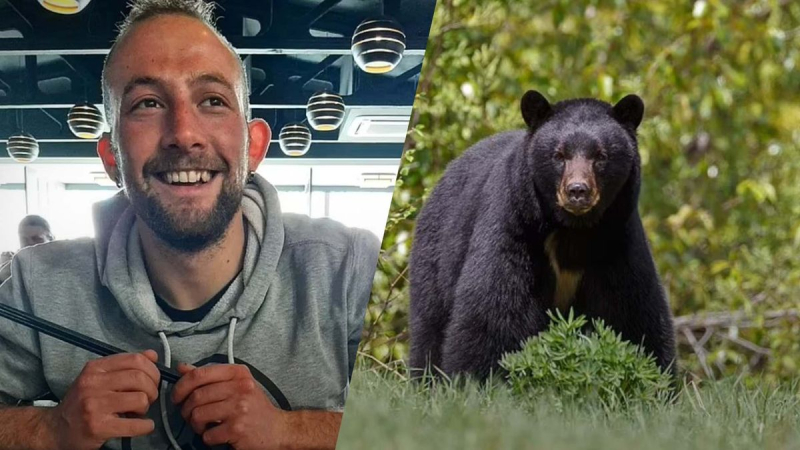 En Italia, un oso despedazó a un hombre mientras trotaba