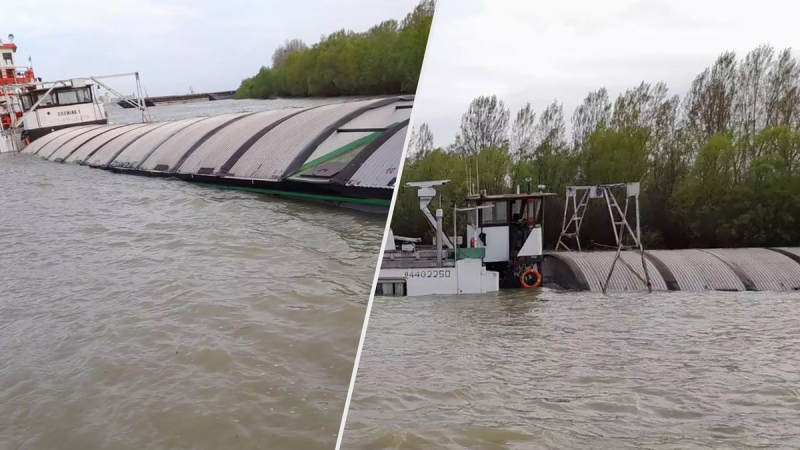 Barcos que transportaban animales y fertilizantes chocaron cerca del puerto de Reni: uno de ellos comenzó a hundirse