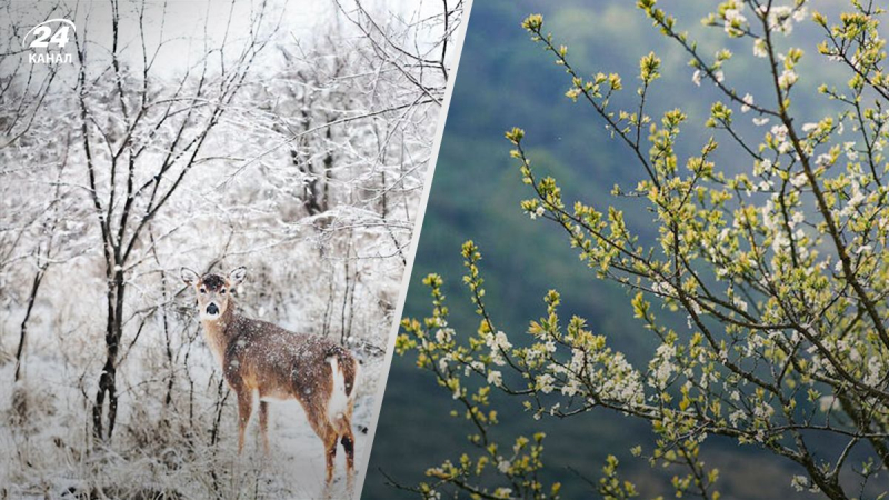 Calor primaveral o helada continua: cómo estará el tiempo en abril