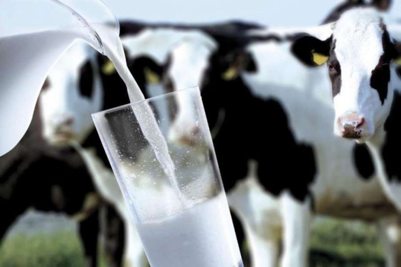 La producción de lácteos en Ucrania está cayendo: las importaciones están creciendo debido a los precios inflados de los procesadores
