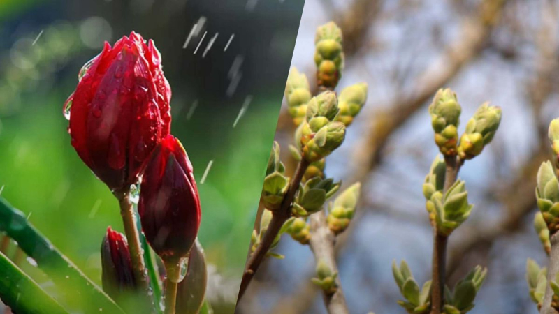 Lluvia: pronóstico del tiempo en Ucrania para el 23 de abril