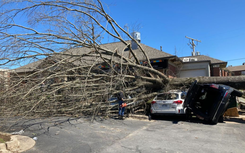 Destructivo El número de muertos por tornados aumenta a 32 en EE. UU. en EE. UU. ha aumentado a 32. Se ha declarado estado de emergencia en algunos estados por efectos del mal tiempo.</p>
<p>Así lo informa Associated Press.</p>
<p>Según datos actualizados, el tornado destruyó viviendas y negocios, y también causó daños financieros considerables a 11 estados. La mayoría de las víctimas en Tennessee – 15 muertos. El mal tiempo cobró muchas vidas en los estados de Indiana, Arkansas, Illinois, Alabama y Mississippi.</p>
<p>Residentes de la localidad de Wynn, en el estado de Arkansas, se despertaron el sábado por la mañana para ver el techo de una escuela destrozado. y ventanas rotas. Ashley Macmillan, una mujer local, dijo que ella, junto con su esposo, hijos y perros, se escondieron del tornado en el baño, rezando y despidiéndose unos de otros. Un árbol cayó sobre su casa, pero como resultado, toda la familia sobrevivió al mal tiempo.</p>
<p>Anteriormente informamos que la ciudad de Belvidere (Illinois) fue cubierta por un tornado durante un concierto de una banda de rock en el Teatro Apolo, al que asistieron cientos de personas. Parte del techo se derrumbó, matando a un hombre de 50 años e hiriendo a otros 40.</p>
<p><u><strong>Lea también:</strong></u></p>
<h4> Temas similares:</h4>
<!-- AddThis Advanced Settings above via filter on the_content --><!-- AddThis Advanced Settings below via filter on the_content --><!-- AddThis Advanced Settings generic via filter on the_content --><!-- AddThis Related Posts below via filter on the_content --><div class=