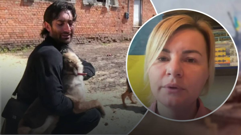 Tienen un destino difícil: la historia de un refugio en la región de Kharkiv, donde animales de -se cuidan los territorios ocupados