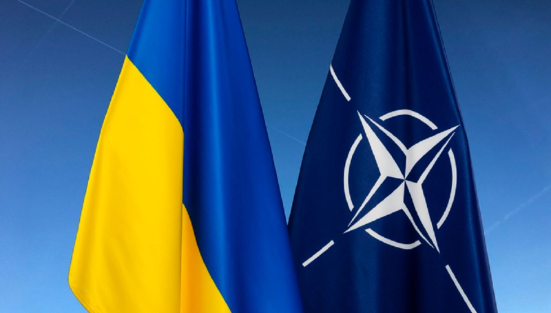 El Senado de Polonia aprueba resolución sobre la adhesión de Ucrania a la OTAN