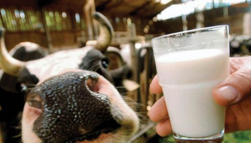 Los procesadores de leche se opusieron con vehemencia al nuevo cuasi-impuesto