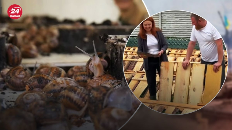 Negocio para el alma: los residentes de Kharkiv establecieron una pequeña granja de caracoles cerca de su casa