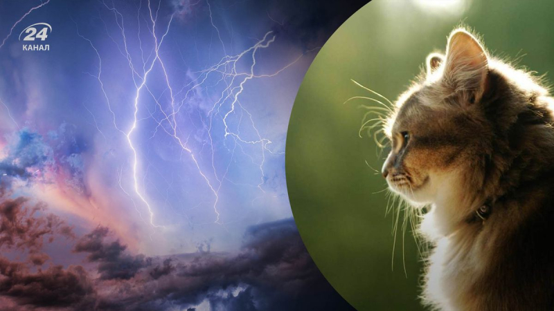 La lluvia dejará una gran área del estado: pronóstico del tiempo en Ucrania el 17 de mayo 