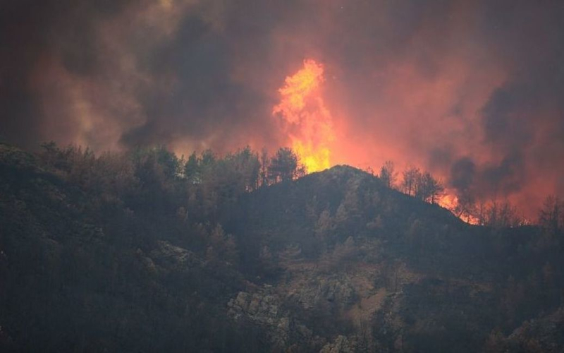 Emergencia declarada y evacuación masiva: los incendios forestales arrasaron Canadá