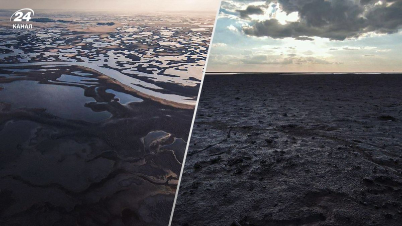 En lugar de toneladas de agua, un pantano: cómo se ve ahora el embalse de Kakhovka