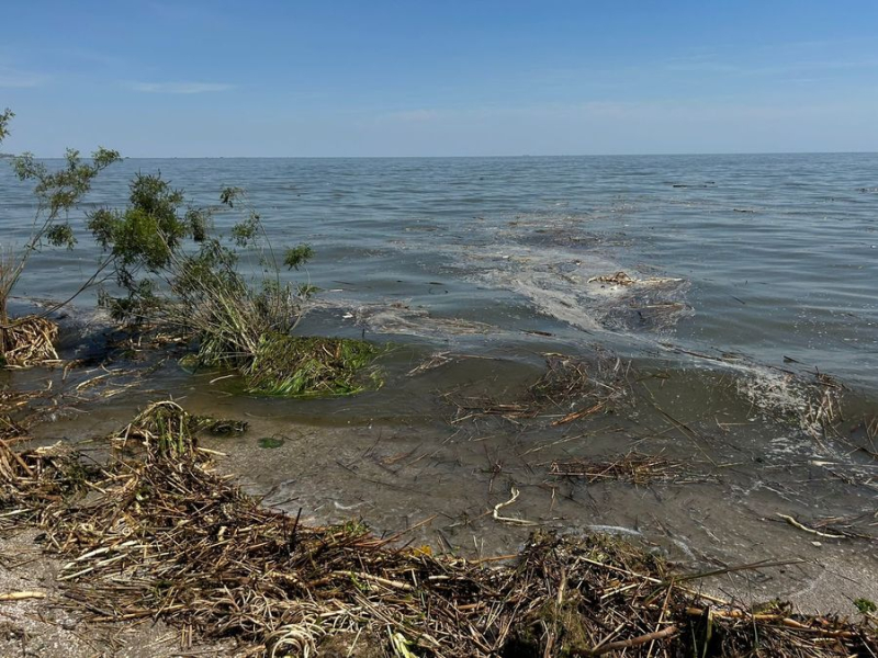 El riesgo de epidemias en la región de Kherson es muy alto, – Sobolevsky sobre las terribles consecuencias de ecocidio