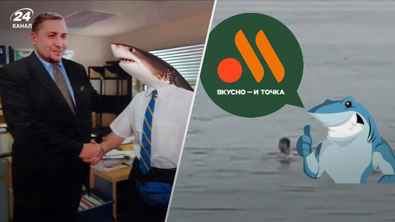 "Delicioso y punto": la red "rompió" con memes por culpa de un tiburón que comió un ruso