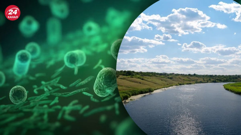 También se encontró vibrio similar al cólera en la región de Mykolaiv: el Ministerio de Salud recomienda no beber agua potable