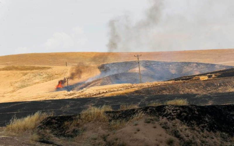 Dos familias protagonizaron una sangrienta masacre por un terreno: nueve muertos