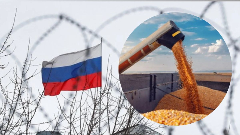 Rusia quiere abastecer a los países africanos con su propio grano: ¿puede reemplazar las exportaciones ucranianas?